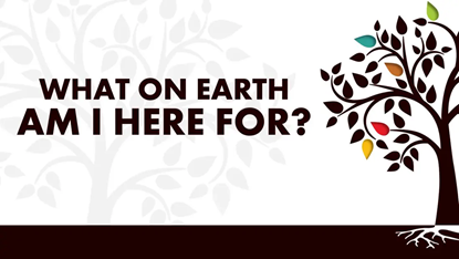 image-859196-What_on_earth_am_i_here_for-9bf31.png